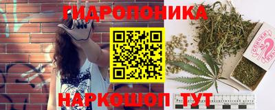альфа пвп Кингисепп